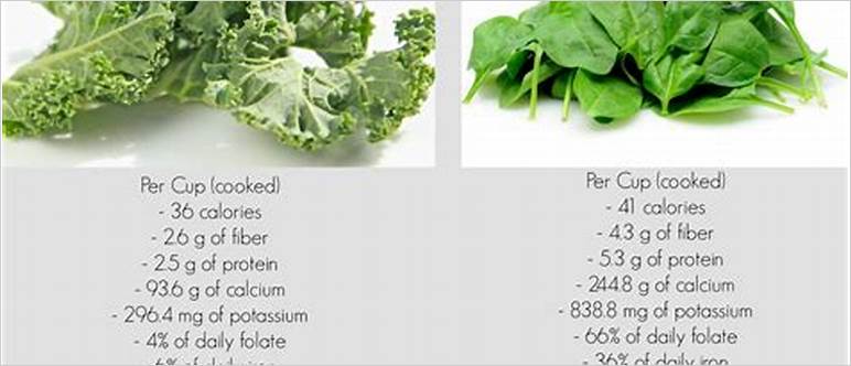 Lettuce vs spinach